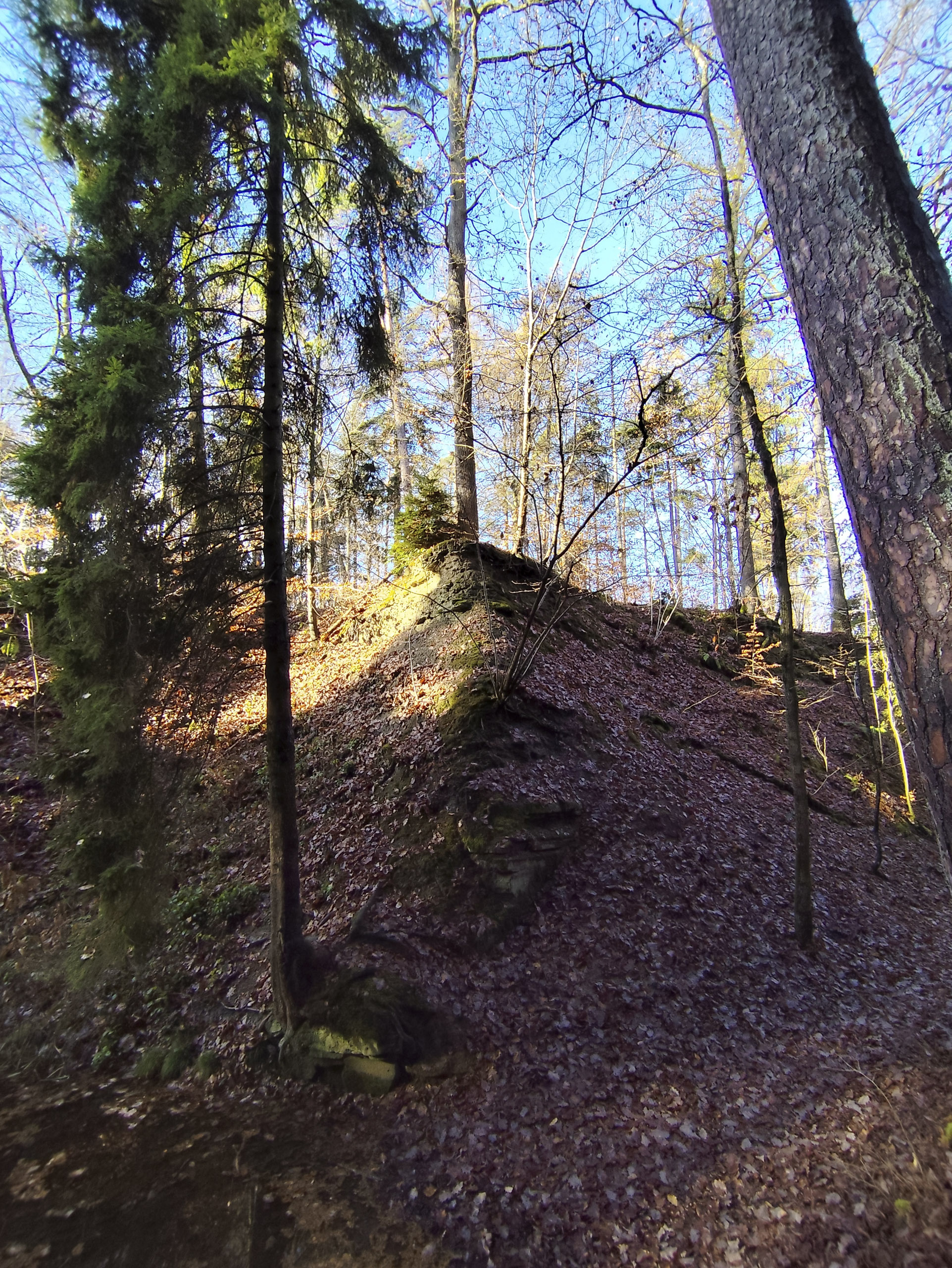 20251129120941 IMG 20251129 120941